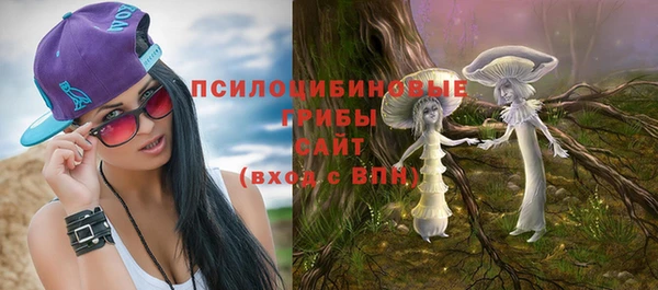 mix Алексин