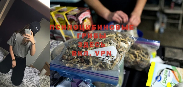 хмурый Алексеевка